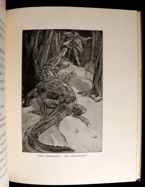 1916 Rare Book - Peter Pan, the Boy Who Would Never Grow Up to Be a Man illustrated by Alice B. Woodward.