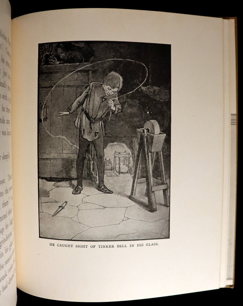 1916 Rare Book - Peter Pan, the Boy Who Would Never Grow Up to Be a Man illustrated by Alice B. Woodward.