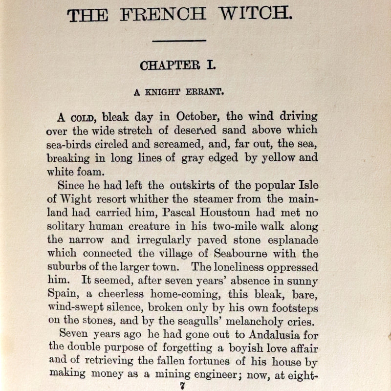 1896 Scarce First Edition - A FRENCH WITCH by Gertrude Warden.