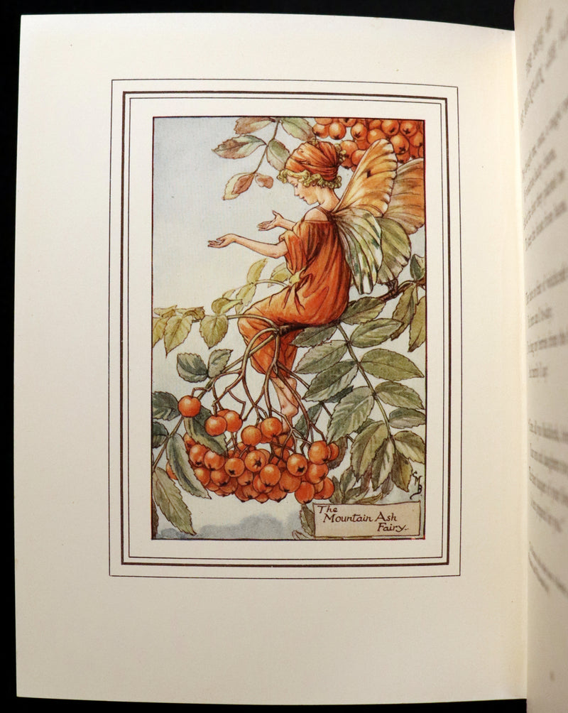 1930 Rare Book - Cicely Mary Barker - THE BOOK OF THE FLOWER FAIRIES.