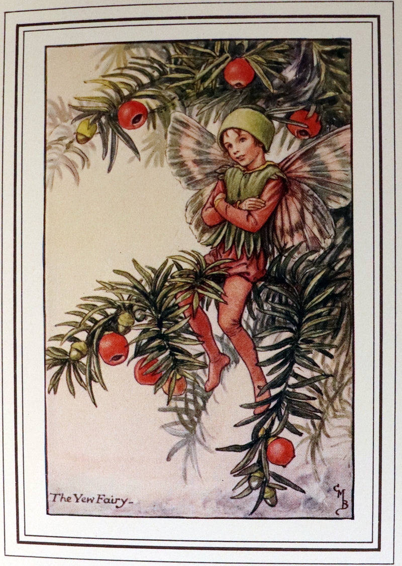 1930 Rare Book - Cicely Mary Barker - THE BOOK OF THE FLOWER FAIRIES.