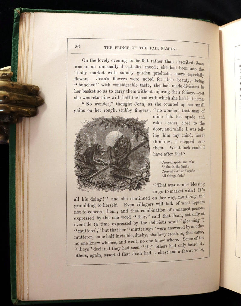1866 Rare First Edition - The Prince of the Fair Family. A Fairy Tale by Anna Maria Hall.