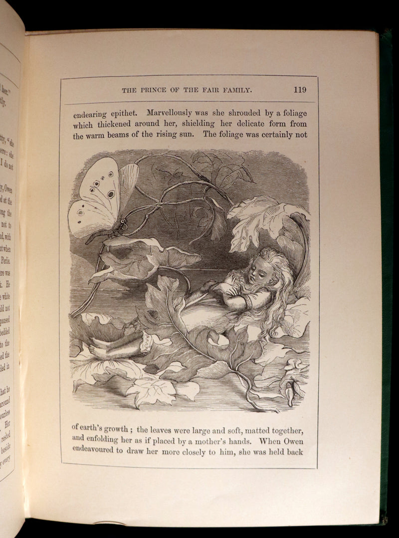 1866 Rare First Edition - The Prince of the Fair Family. A Fairy Tale by Anna Maria Hall.