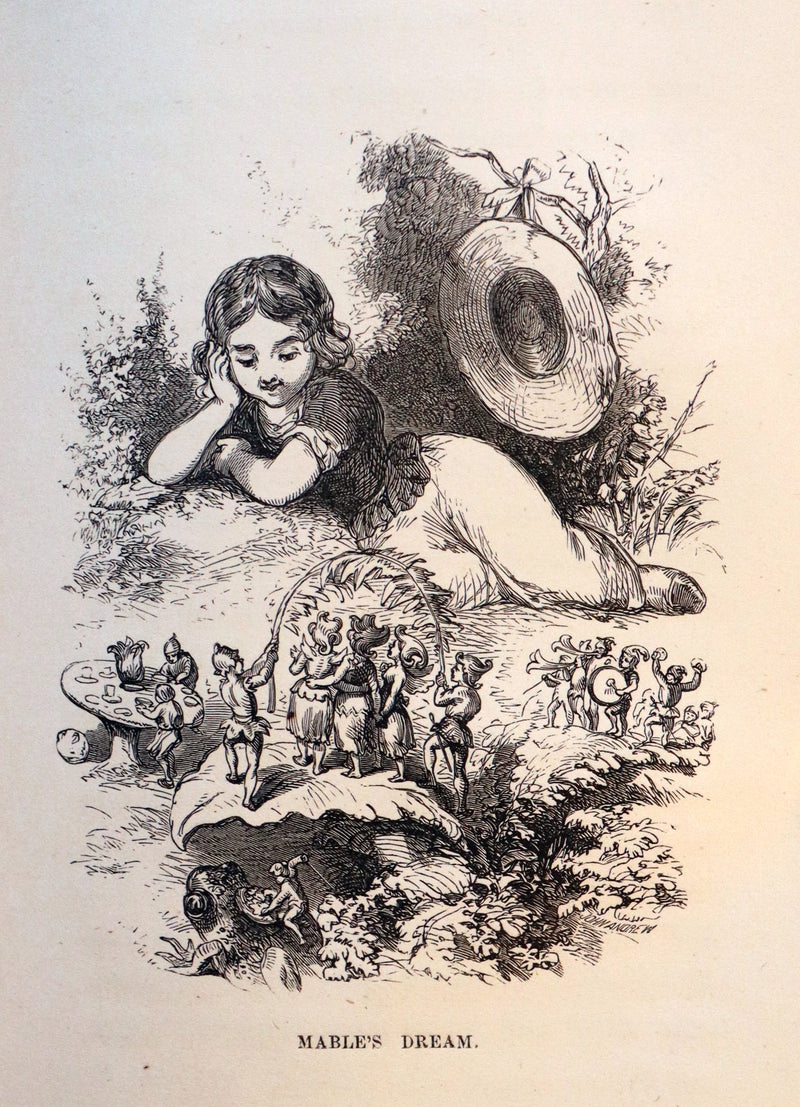 1856 Scarce Victorian Book ~ VIOLET: A FAIRY Story signed by author Caroline S. Guild. 1stED.