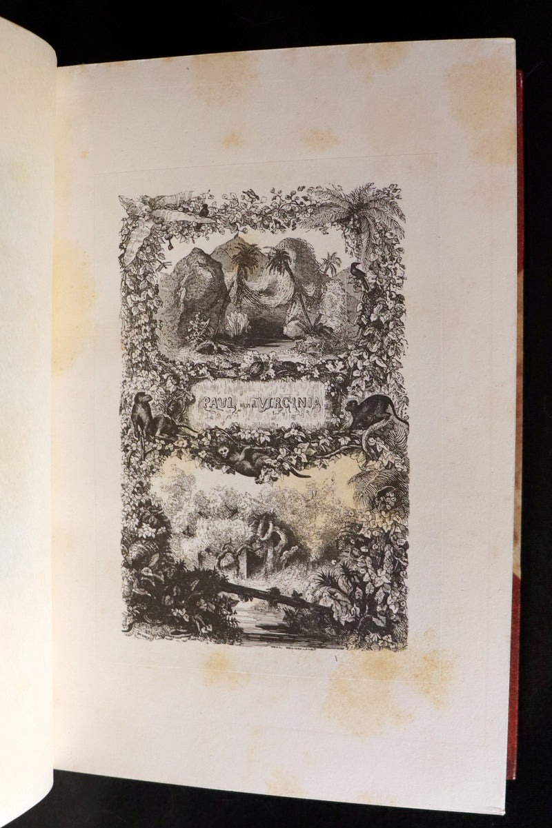 1839 1stED in a Bayntun Binding - PAUL and VIRGINIA on the Island of Mauritius by Bernardin De St Pierre.
