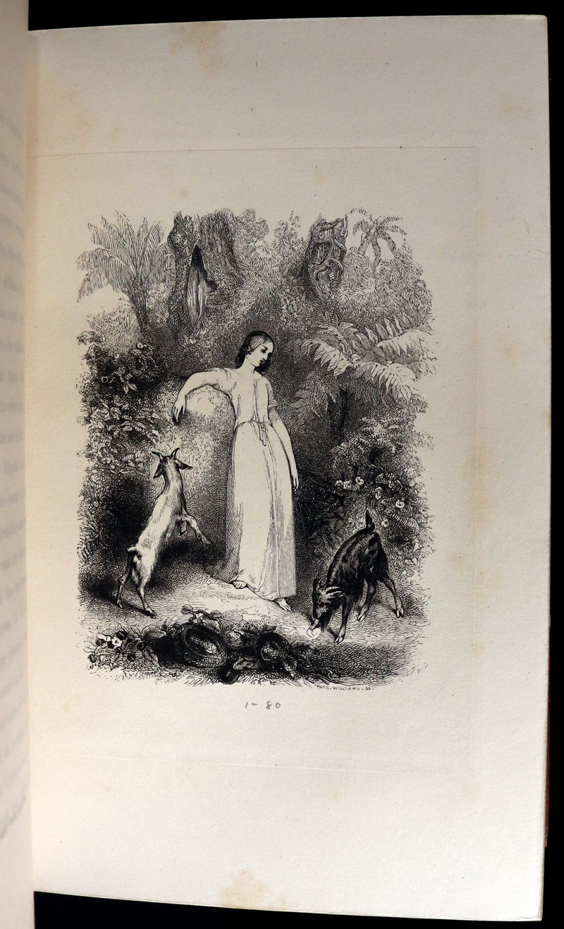 1839 1stED in a Bayntun Binding - PAUL and VIRGINIA on the Island of Mauritius by Bernardin De St Pierre.