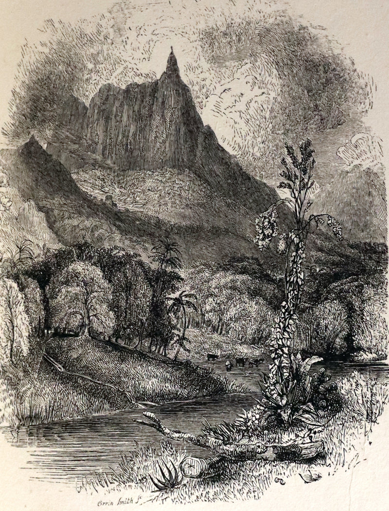 1839 1stED in a Bayntun Binding - PAUL and VIRGINIA on the Island of Mauritius by Bernardin De St Pierre.