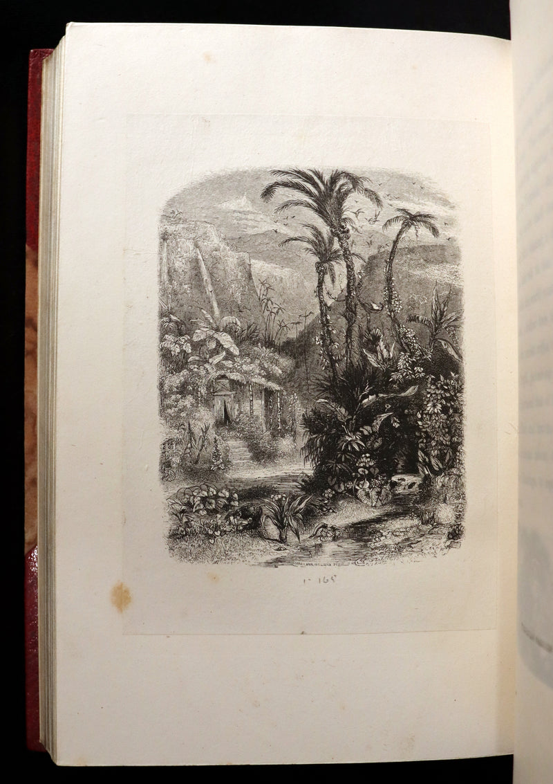 1839 1stED in a Bayntun Binding - PAUL and VIRGINIA on the Island of Mauritius by Bernardin De St Pierre.
