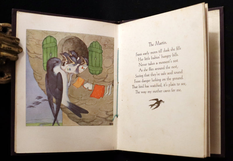 1934 Scarce First English Edition - THE BIRDS' BOOK illustrated by Ida Bohatta Morpurgo.