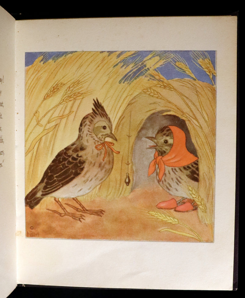 1934 Scarce First English Edition - THE BIRDS' BOOK illustrated by Ida Bohatta Morpurgo.