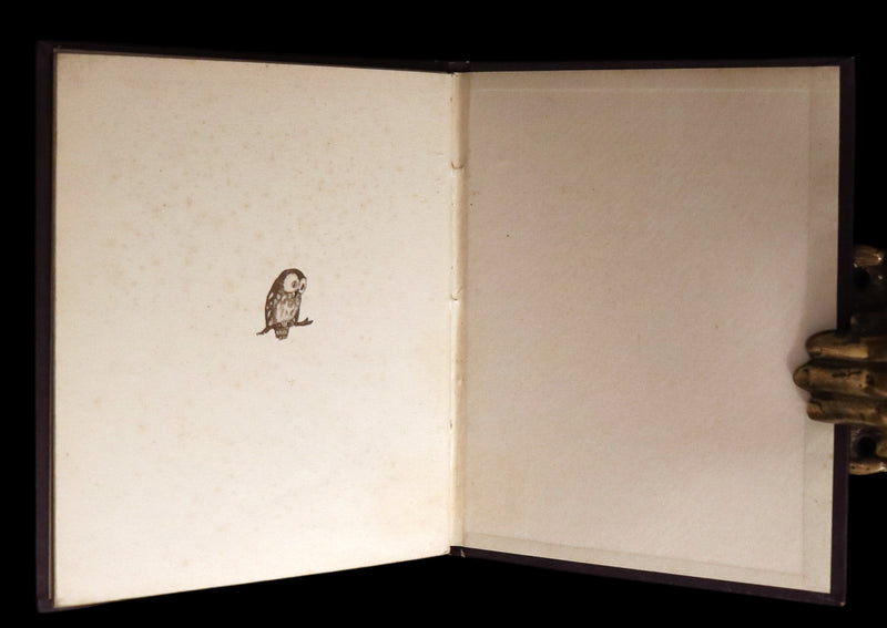 1934 Scarce First English Edition - THE BIRDS' BOOK illustrated by Ida Bohatta Morpurgo.