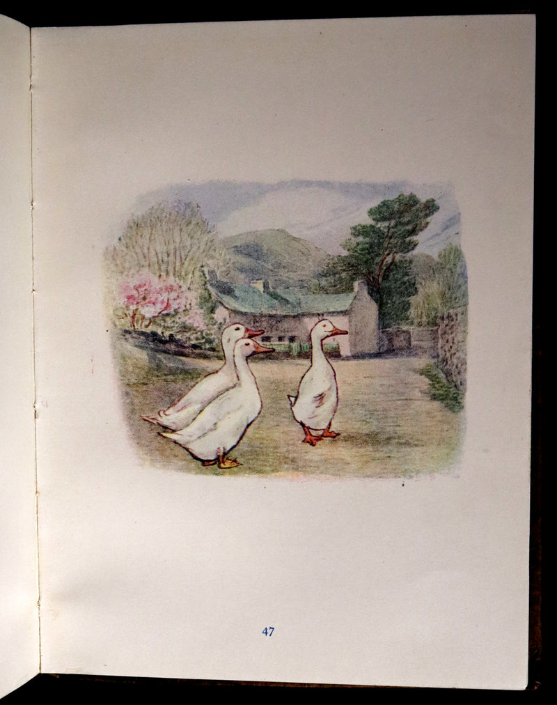 1909 Rare Book - Beatrix Potter - The Tale of Tom Kitten. Early Edition.