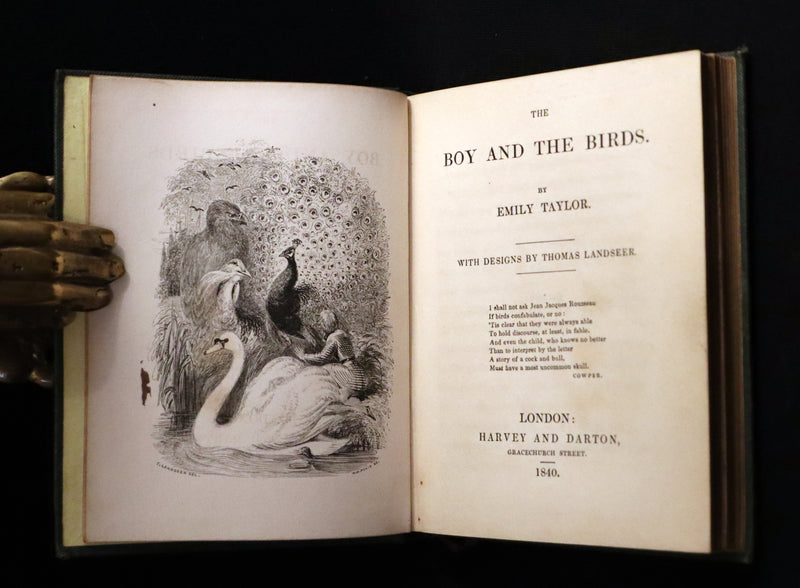 1840 Rare Ornithology book for Children ~ THE BOY AND THE BIRDS by Emily Taylor illustrated by Thomas Landseer.