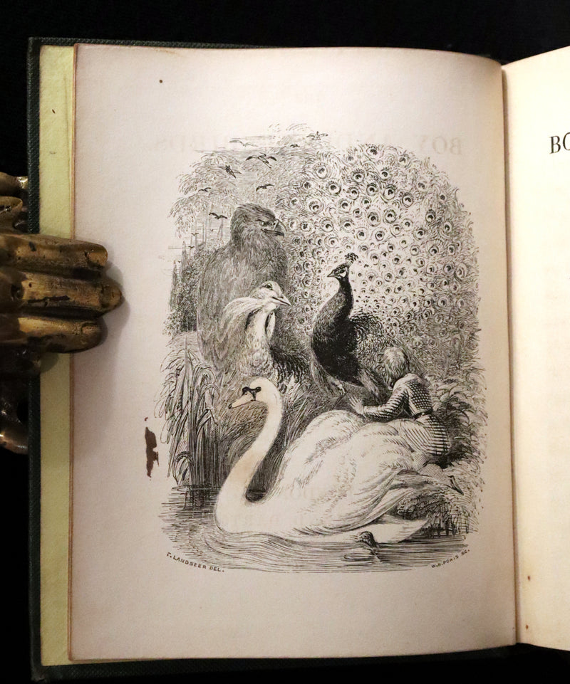 1840 Rare Ornithology book for Children ~ THE BOY AND THE BIRDS by Emily Taylor illustrated by Thomas Landseer.