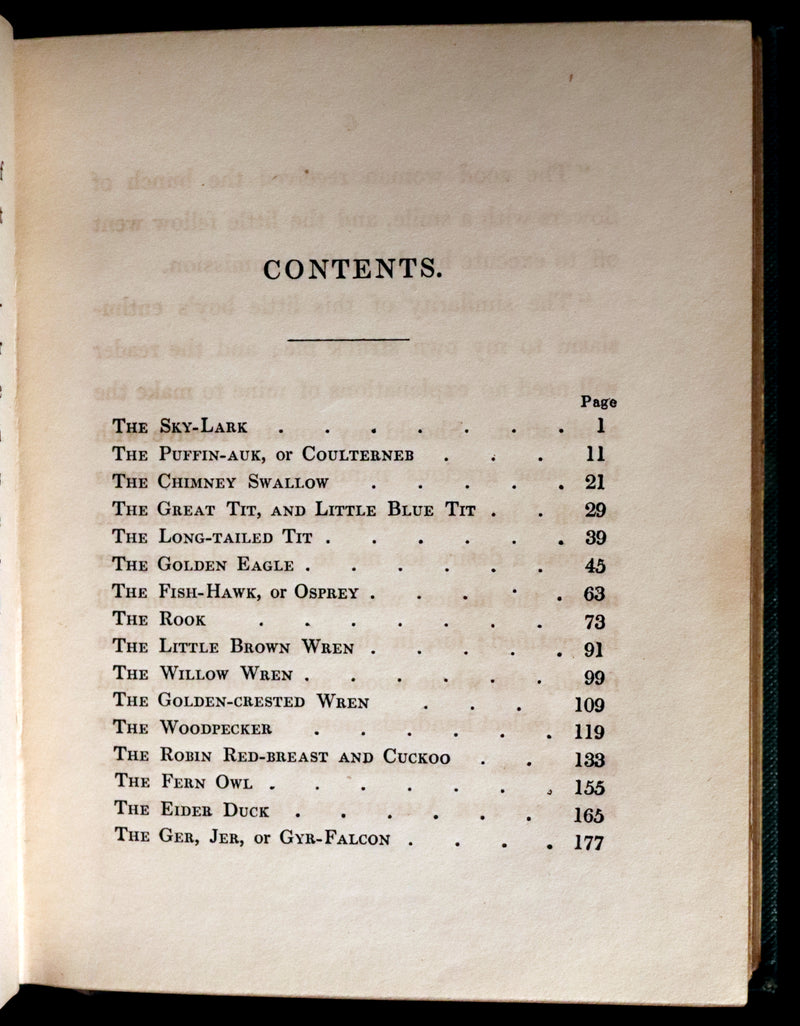 1840 Rare Ornithology book for Children ~ THE BOY AND THE BIRDS by Emily Taylor illustrated by Thomas Landseer.
