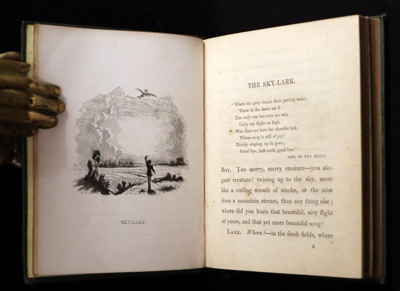 1840 Rare Ornithology book for Children ~ THE BOY AND THE BIRDS by Emily Taylor illustrated by Thomas Landseer.