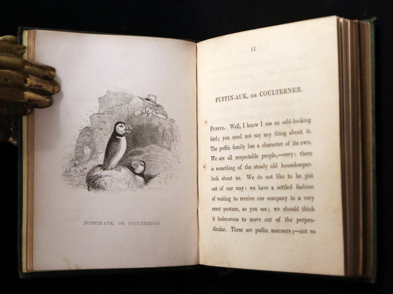 1840 Rare Ornithology book for Children ~ THE BOY AND THE BIRDS by Emily Taylor illustrated by Thomas Landseer.