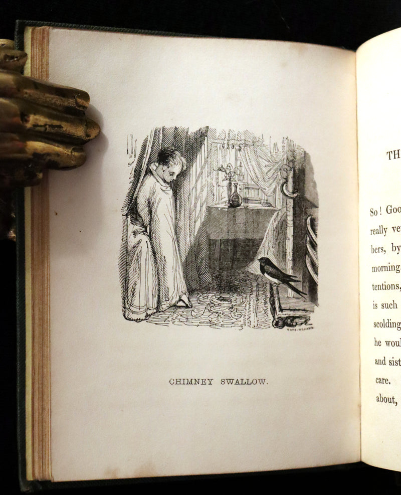 1840 Rare Ornithology book for Children ~ THE BOY AND THE BIRDS by Emily Taylor illustrated by Thomas Landseer.