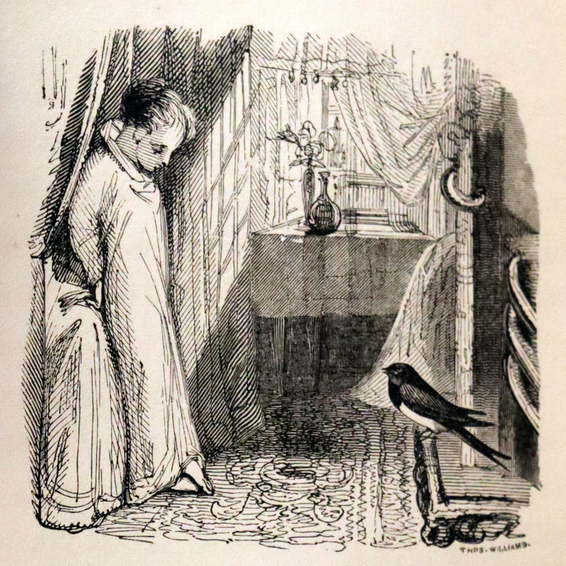 1840 Rare Ornithology book for Children ~ THE BOY AND THE BIRDS by Emily Taylor illustrated by Thomas Landseer.