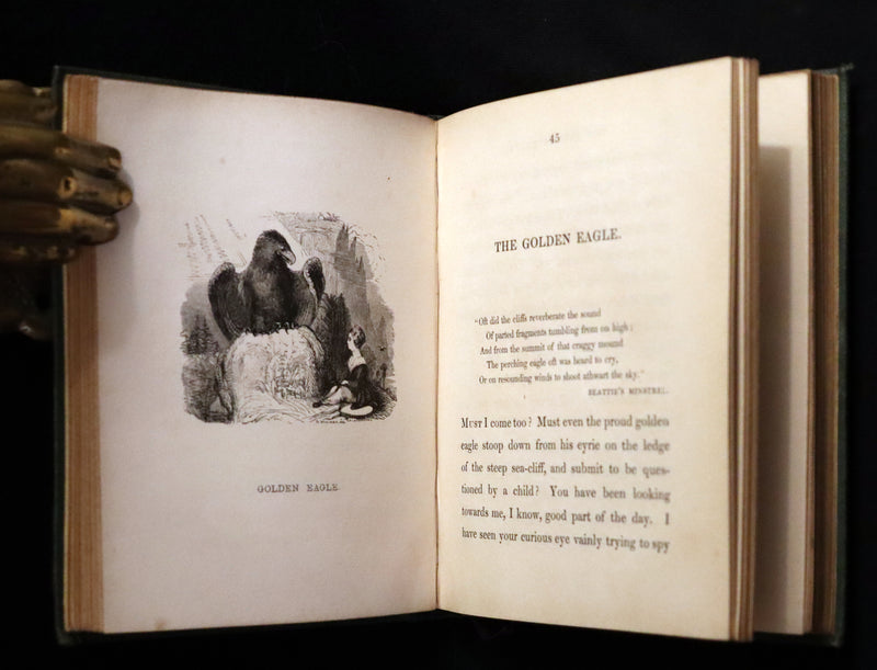 1840 Rare Ornithology book for Children ~ THE BOY AND THE BIRDS by Emily Taylor illustrated by Thomas Landseer.