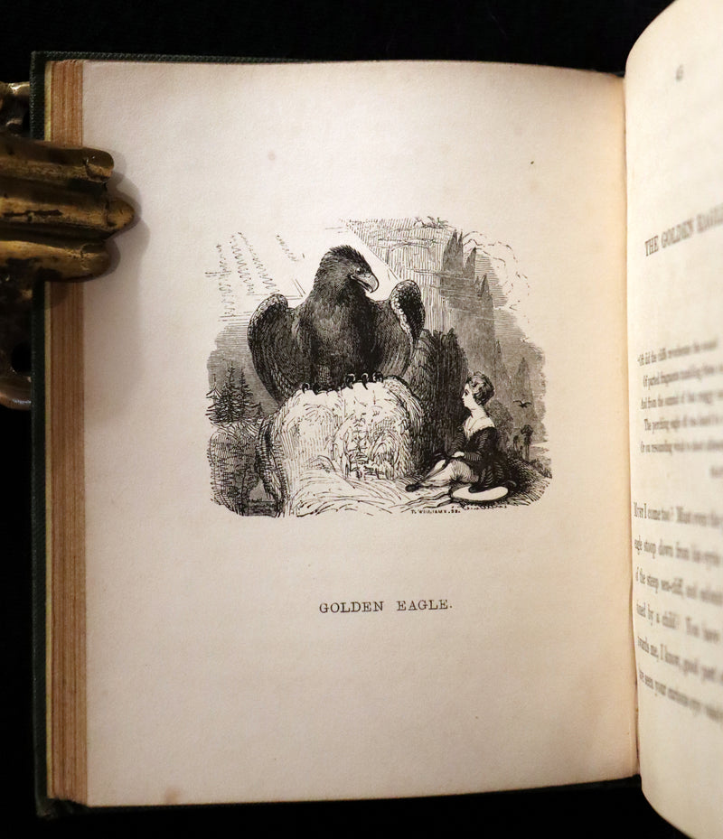 1840 Rare Ornithology book for Children ~ THE BOY AND THE BIRDS by Emily Taylor illustrated by Thomas Landseer.