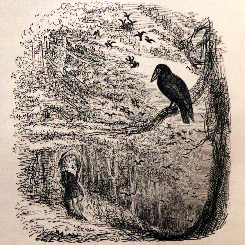 1840 Rare Ornithology book for Children ~ THE BOY AND THE BIRDS by Emily Taylor illustrated by Thomas Landseer.