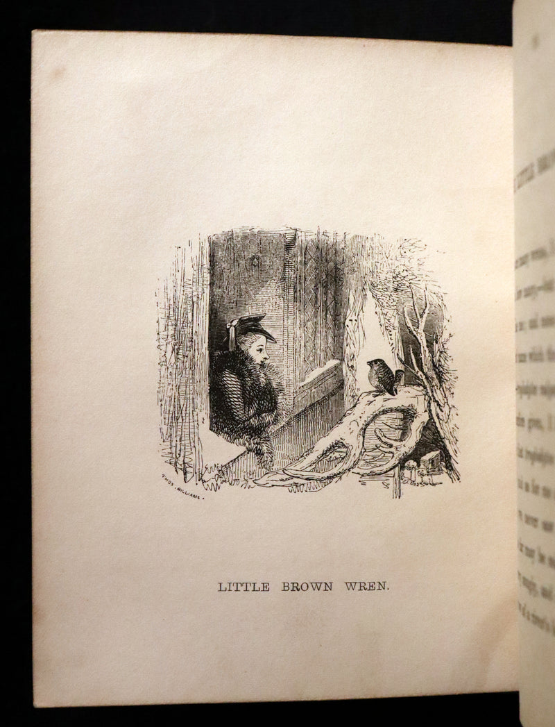 1840 Rare Ornithology book for Children ~ THE BOY AND THE BIRDS by Emily Taylor illustrated by Thomas Landseer.