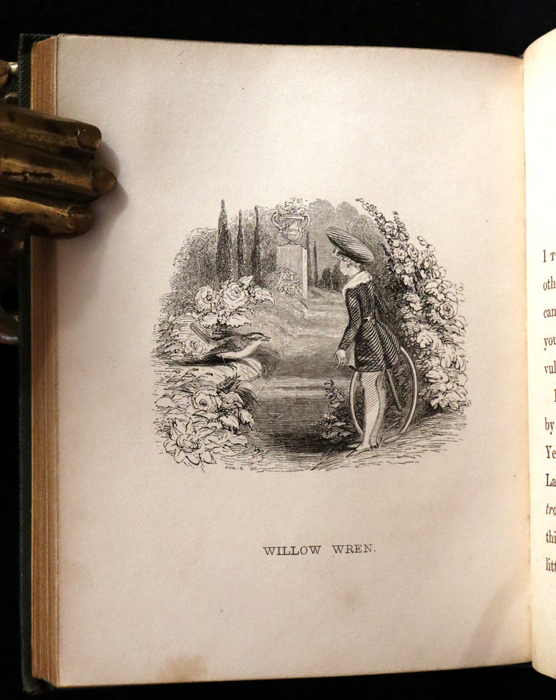 1840 Rare Ornithology book for Children ~ THE BOY AND THE BIRDS by Emily Taylor illustrated by Thomas Landseer.
