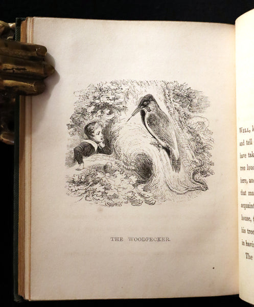 1840 Rare Ornithology book for Children ~ THE BOY AND THE BIRDS by Emily Taylor illustrated by Thomas Landseer.