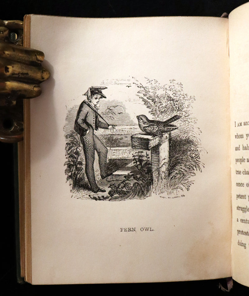 1840 Rare Ornithology book for Children ~ THE BOY AND THE BIRDS by Emily Taylor illustrated by Thomas Landseer.