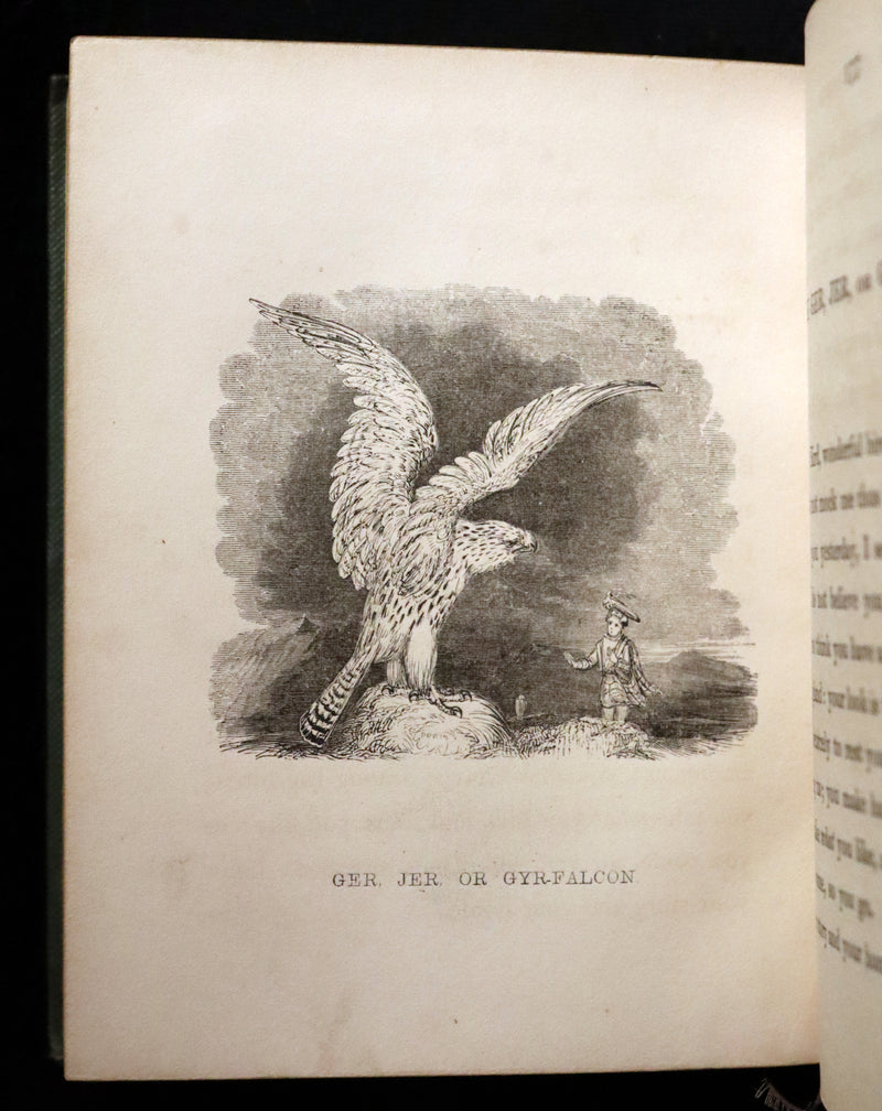1840 Rare Ornithology book for Children ~ THE BOY AND THE BIRDS by Emily Taylor illustrated by Thomas Landseer.