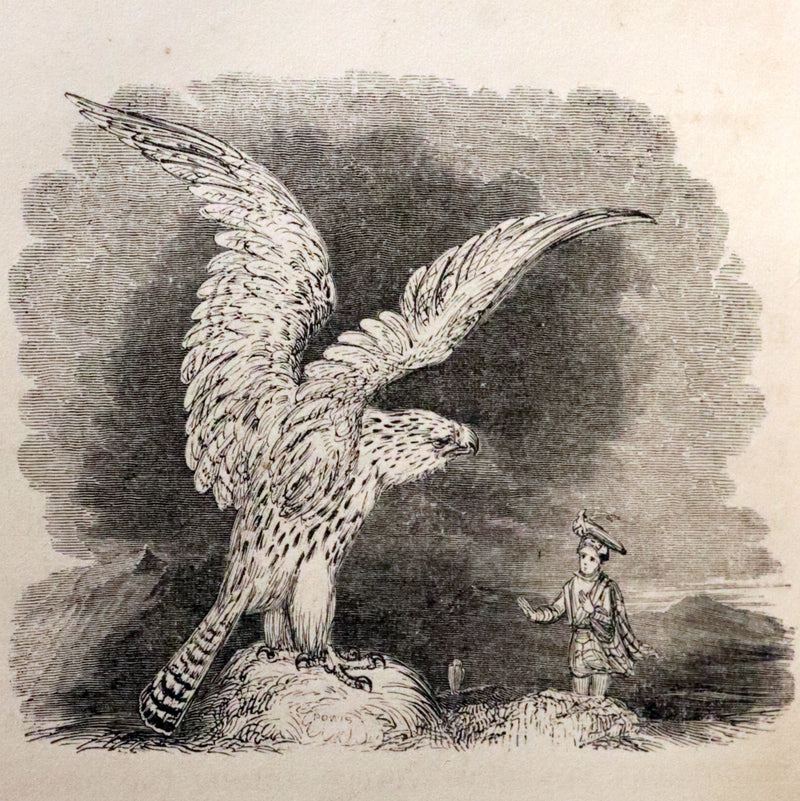 1840 Rare Ornithology book for Children ~ THE BOY AND THE BIRDS by Emily Taylor illustrated by Thomas Landseer.