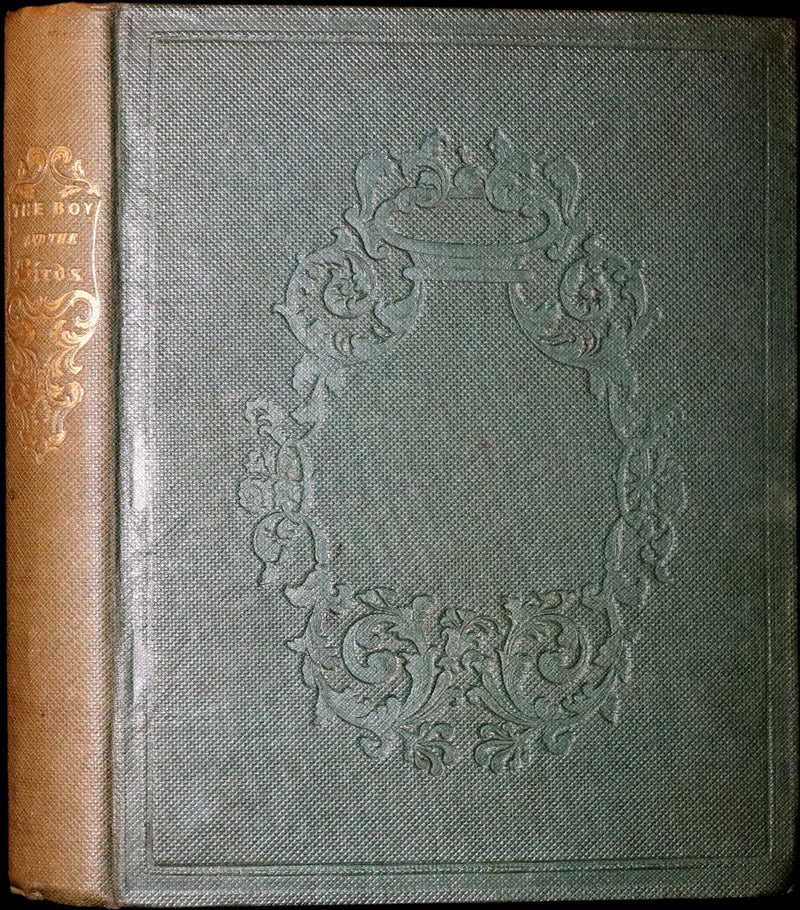 1840 Rare Ornithology book for Children ~ THE BOY AND THE BIRDS by Emily Taylor illustrated by Thomas Landseer.