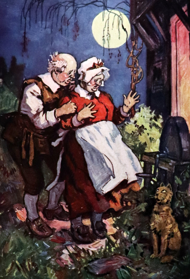 1923 Scarce First Edition - Riley FAIRY TALES illustrated by Will Vawter.