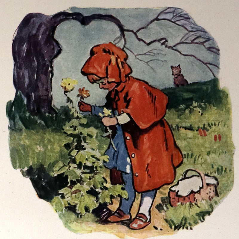 1923 Scarce First Edition - Riley FAIRY TALES illustrated by Will Vawter.