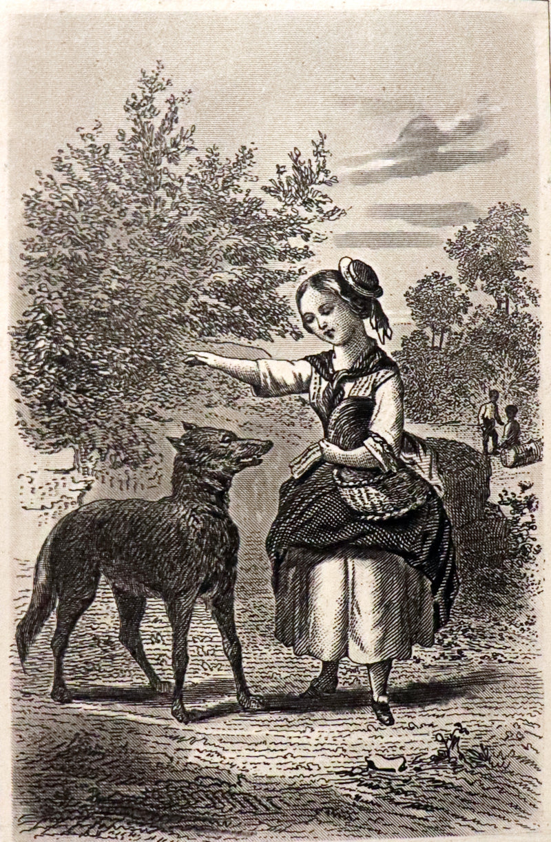 1865 Scarce illustrated French Book ~ Contes des Fees by Charles Perrault - Fairy Tales.