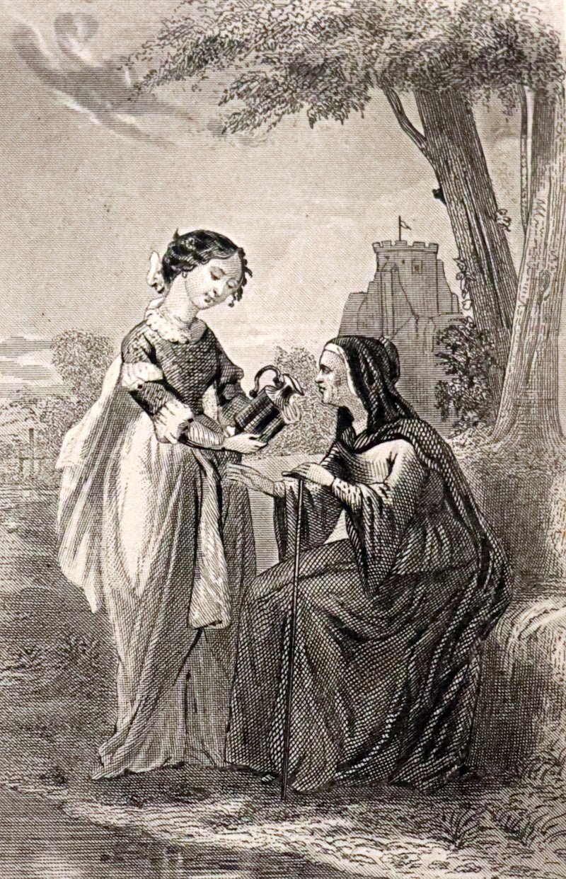 1865 Scarce illustrated French Book ~ Contes des Fees by Charles Perrault - Fairy Tales.