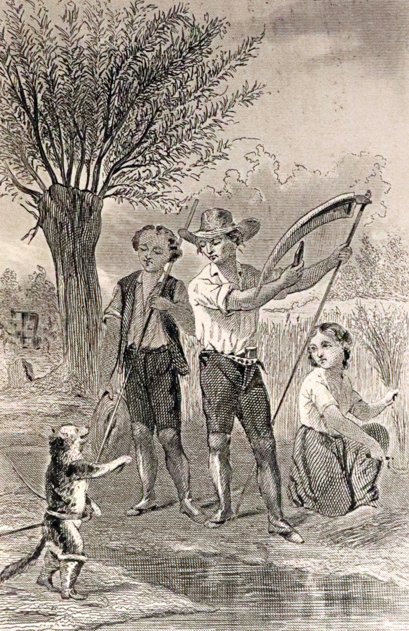 1865 Scarce illustrated French Book ~ Contes des Fees by Charles Perrault - Fairy Tales.