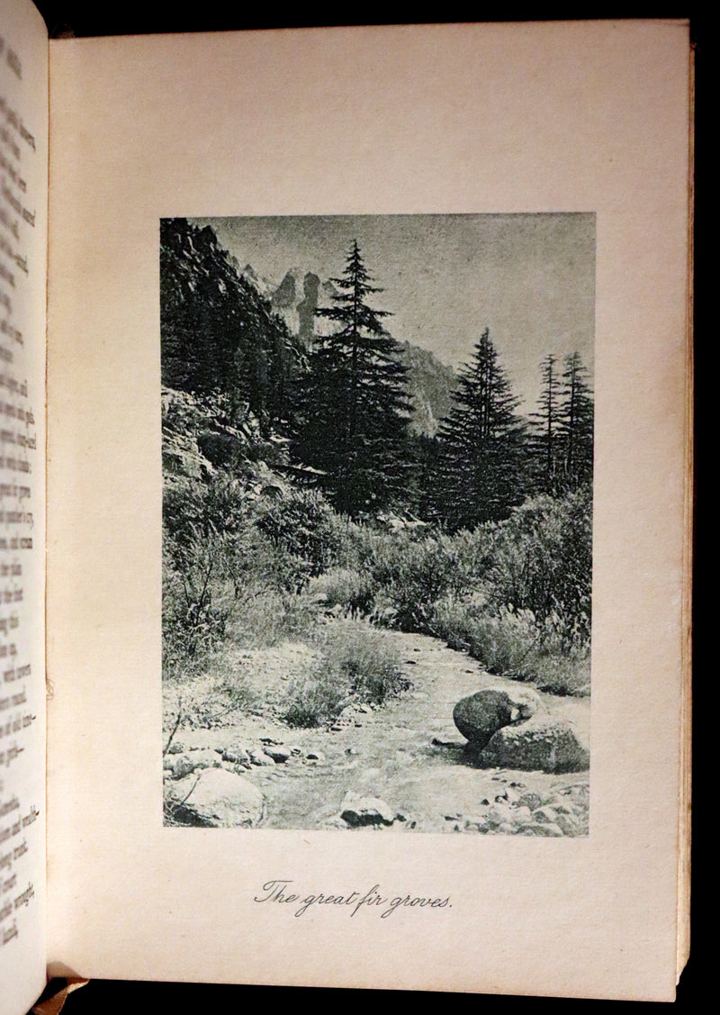 1923 Rare Edition - THE LIGHT OF ASIA or The Great Renunciation. Being The Life and Teaching of Gautama Prince of India and Funder of Buddhism.