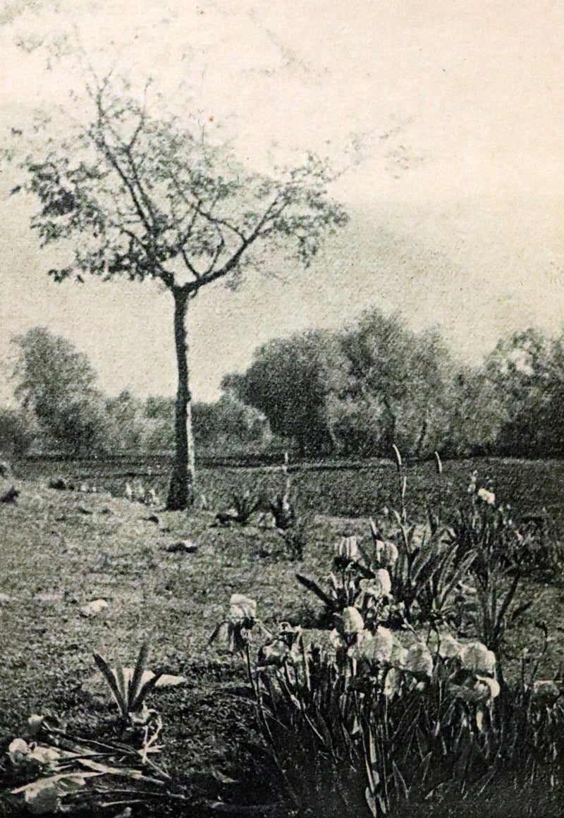 1923 Rare Edition - THE LIGHT OF ASIA or The Great Renunciation. Being The Life and Teaching of Gautama Prince of India and Funder of Buddhism.