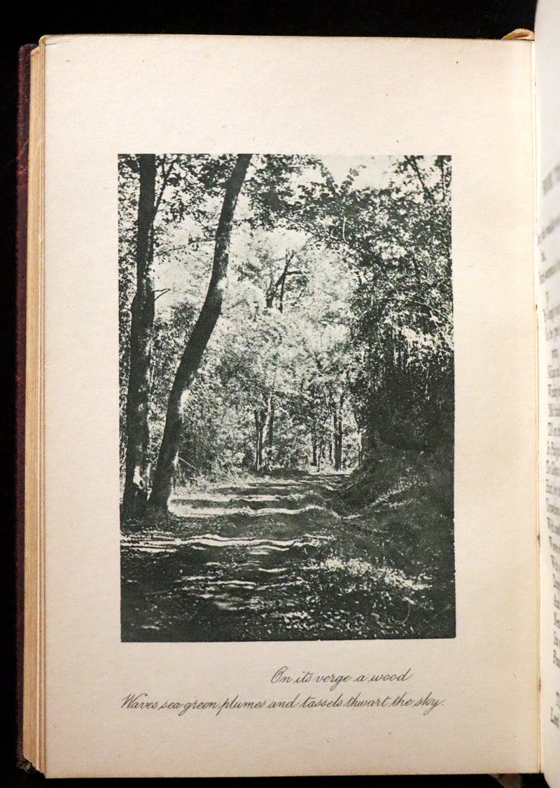 1923 Rare Edition - THE LIGHT OF ASIA or The Great Renunciation. Being The Life and Teaching of Gautama Prince of India and Funder of Buddhism.