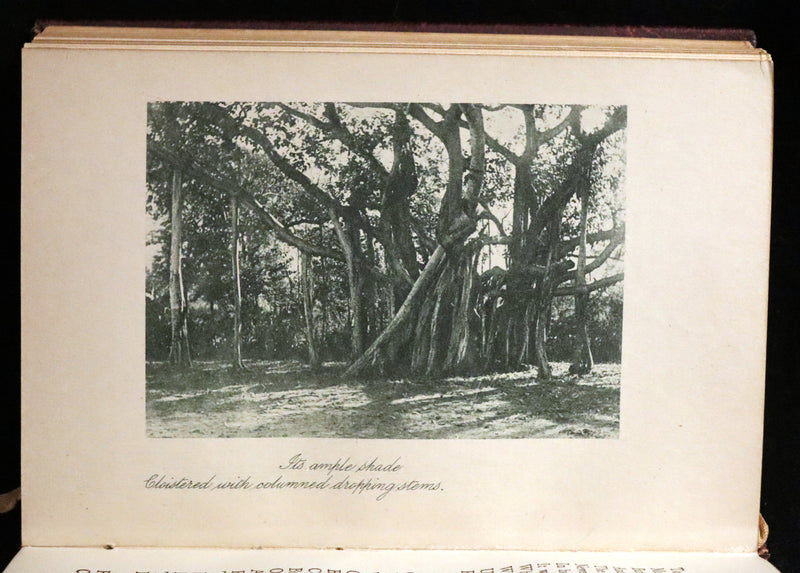 1923 Rare Edition - THE LIGHT OF ASIA or The Great Renunciation. Being The Life and Teaching of Gautama Prince of India and Funder of Buddhism.