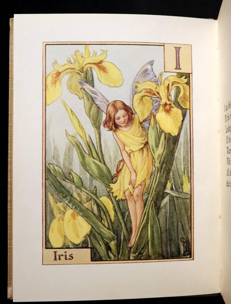 1934 Rare First Edition - Cicely Mary Barker - A FLOWER FAIRY ALPHABET.