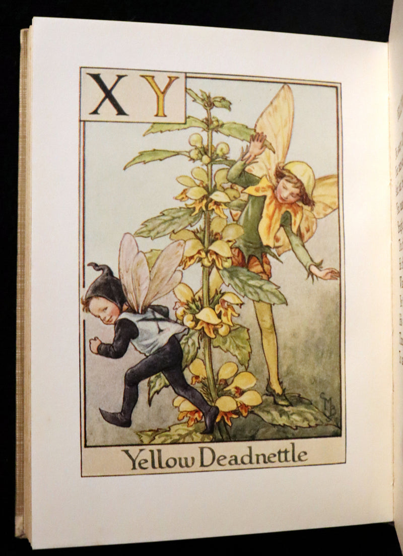 1934 Rare First Edition - Cicely Mary Barker - A FLOWER FAIRY ALPHABET.