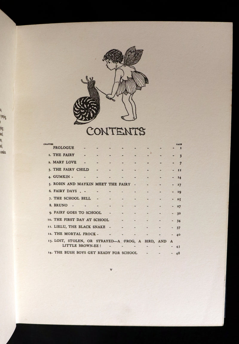 1925 Rare Book - The Little Green Road to Fairyland by Ida Rentoul Outhwaite illustrated.