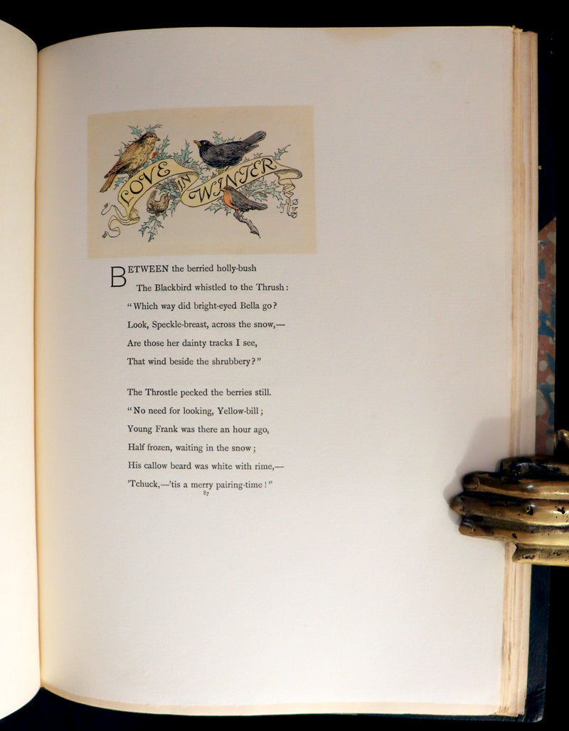 1895 Scarce 1stED in COLOR Bound by Zaehnsdorf - The Story of Rosina by Austin Dobson illustrated by Hugh Thomson.