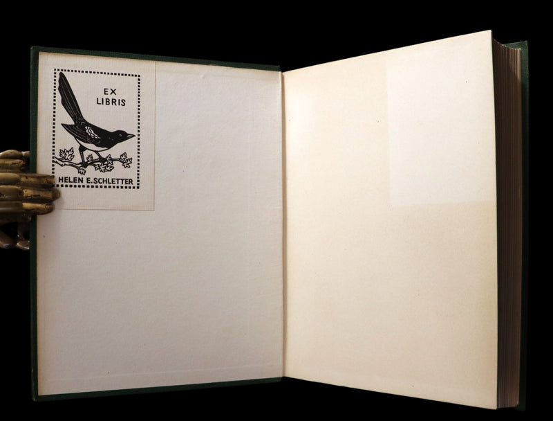 1920 First Edition - Irish fairy Tales by James Stephens illustrated by Arthur Rackham.