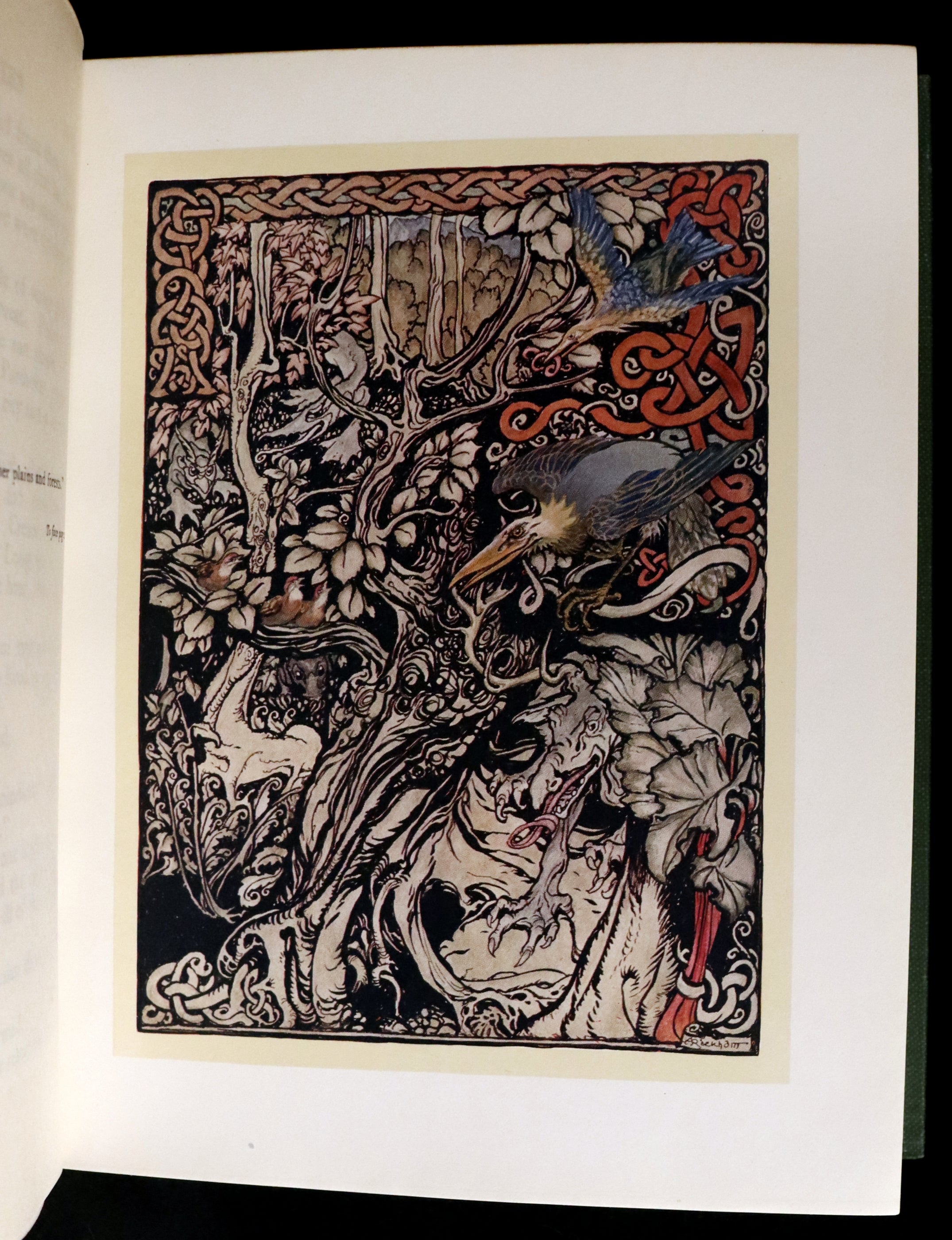 1920 First Edition - Irish fairy Tales by James Stephens illustrated by ...