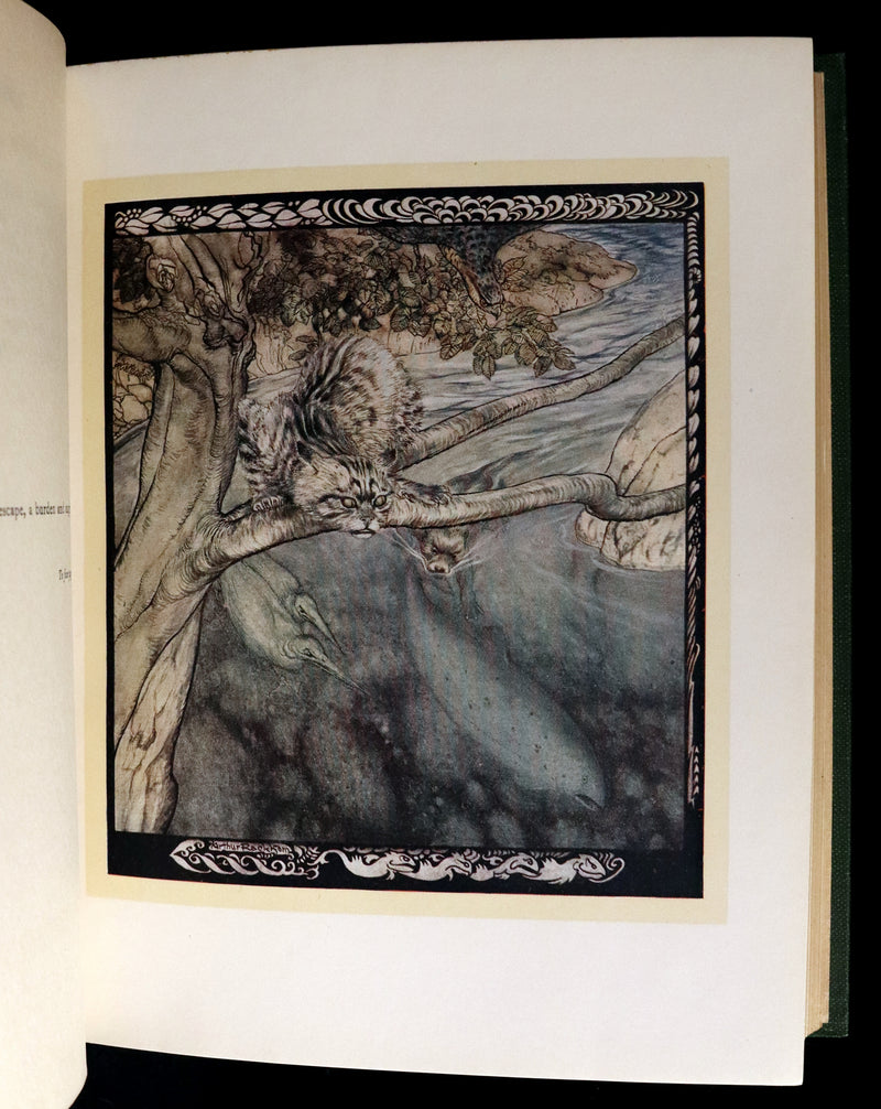 1920 First Edition - Irish fairy Tales by James Stephens illustrated by Arthur Rackham.