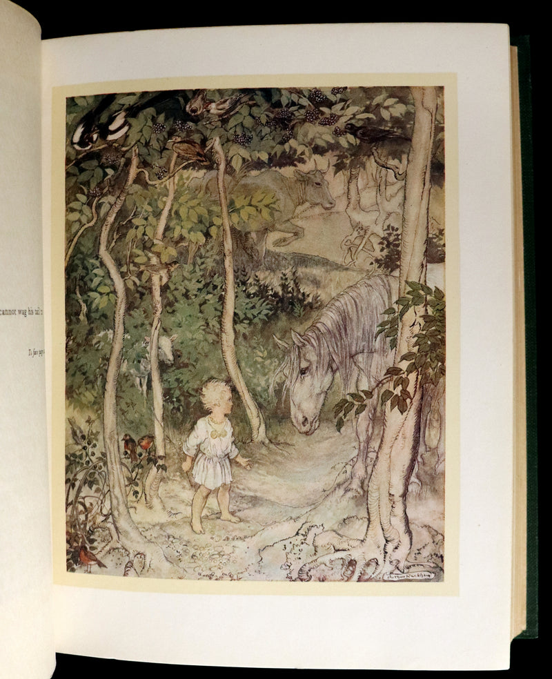 1920 First Edition - Irish fairy Tales by James Stephens illustrated by Arthur Rackham.